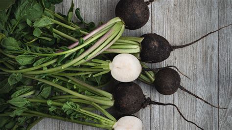 14 Radish Varieties You Should Keep On Your Radar