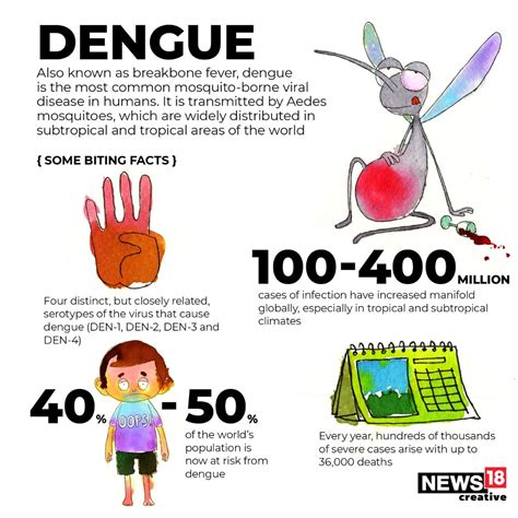 In Pics | Dengue Signs, Symptoms & How You Can Prevent Yourself from ...