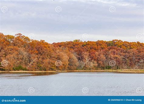 Overcast View of the Fall Color of a Hiking Trail in Lake of the Ozarks ...