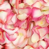 Buy Your Choice of Rose Petals | GlobalRose