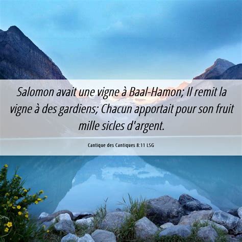 Cantique des Cantiques 8:11 LSG - Salomon avait une vigne à Baal Hamon; Il remit