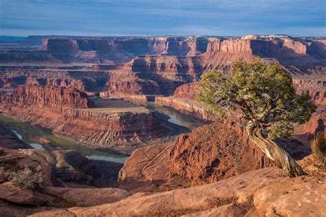 Dead Horse Point Canyonlands Overlook, by Pedro Lastra | Unsplash ...