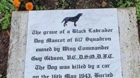 Plans to relocate grave of Guy Gibson's dog set to be refused