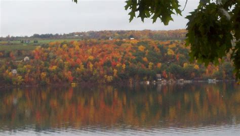 Fall at Keuka lake | Keuka lake, Lake, Natural landmarks