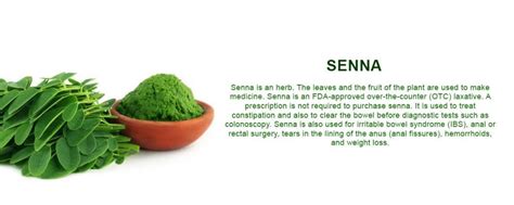 Senna Uses & Side Effects | Senna Extract Supplier - Herbal Creations