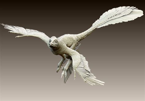 Microraptor Size