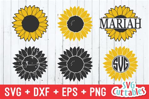 Sunflower SVG | Sunflower Monogram Frame (241926) | Cut Files | Design Bundles