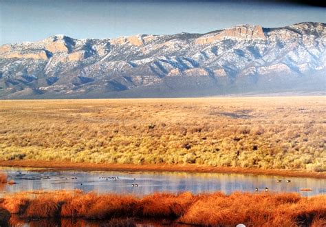 Great Basin Water Network -- greatbasinwater.net