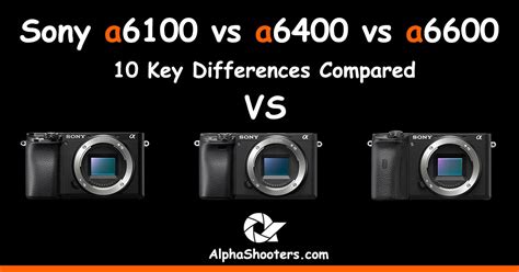 Sony A6100 vs A6400 vs A6600 - AlphaShooters.com