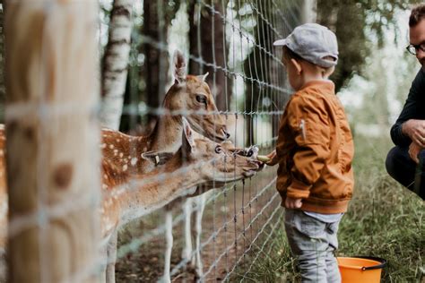 De geschiedenis van Ouwehands Dierenpark - Internationaal Ambasadeur