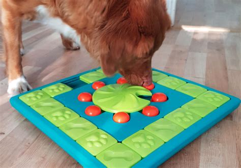 5 Best Dog Puzzle Toys to Keep Your Dog Entertained | A-Love-Of-Rottweilers