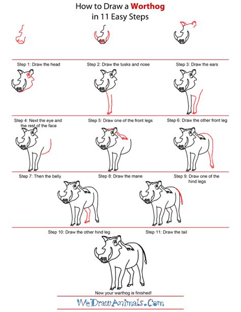 How to Draw a Warthog