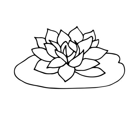 Simple doodle hand drawn vector drawing. Lotus flower, water lily in black outline isolated on a ...