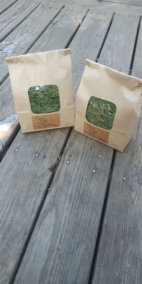 White Pine Tea Organic Pine Needle Tea Shikimic Acid - Etsy