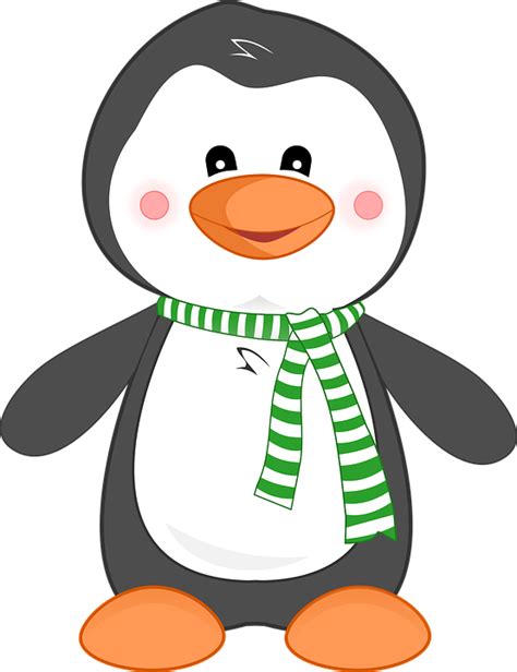 Download Penguin, Animal, Cute. Royalty-Free Vector Graphic - Pixabay