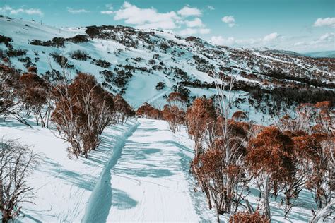 Guide to Snowy Mountains, NSW | Wiki Australia