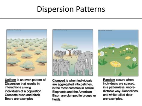 PPT - Biology End of Course Test (EOCT) Study Guide PowerPoint Presentation - ID:2938484