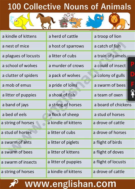 Collective Nouns Animals Examples