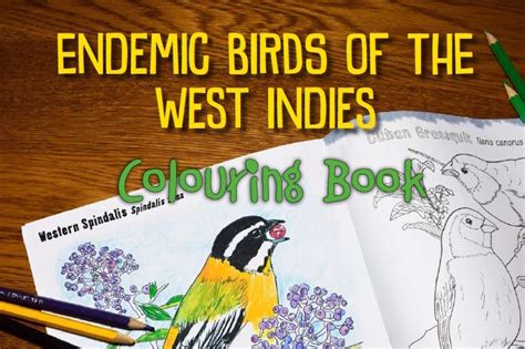 Hot Off the Press! Our New “Endemic Birds of the West Indies” Colouring ...