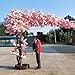 Amazon.com: 2.8x2.8m/9.2x9.2ft Japanese Pink Cherry Blossoms Trees ...