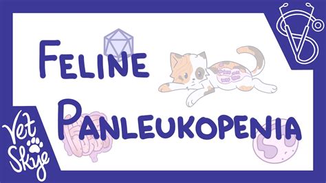 Feline Panleukopenia - causes, pathology, clinical signs, diagnosis ...