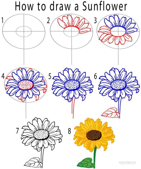 Step By Step Sunflower Pencil Drawing - pic-spatula