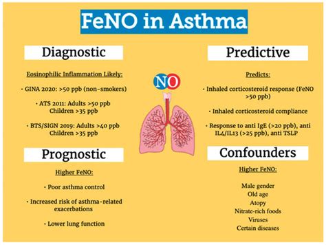 Diagnostics | Free Full-Text | Update on the Role of FeNO in Asthma Management