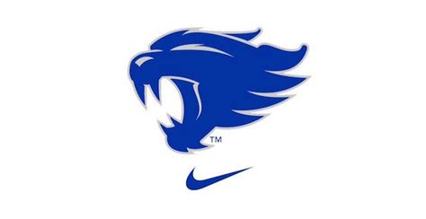 LOOK: What is Kentucky going for with this new Wildcat logo ...