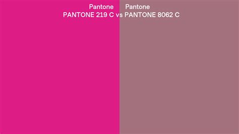 Pantone 219 C vs PANTONE 8062 C side by side comparison