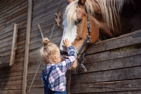 5 Tips For Introducing Kids To Horses