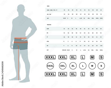 Measurements for clothing. Vector illustration of the dimensions of the male waist and hips ...