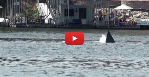 This High Speed Boat Crash Is Terrifying | Engaging Car News, Reviews ...