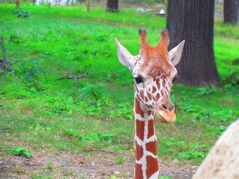 Talk To The Animals at Omaha's Henry Doorly Zoo - Our Changing Life