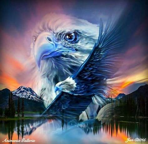 Pin by Gwen-Gwendell Parsons on Eagles | Eagle pictures, Eagle art ...