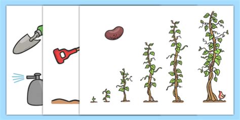 FREE! - Story Cut Outs to Support Teaching on Jasper's Beanstalk