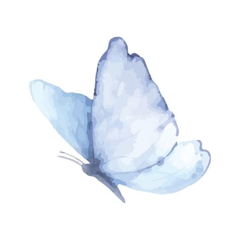 Premium Vector | Butterfly blue violet watercolor delicate light color