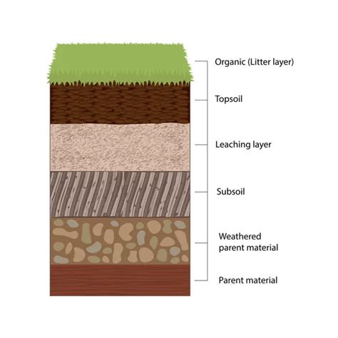 Soil Horizons and Layers