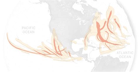 2023 Hurricane Season Ends: A Recap of This Year’s Storms - The New ...