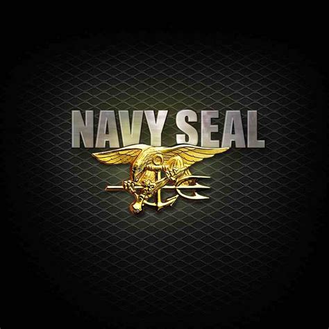 A Navy SEAL Explains 8 Secrets To Grit And Resilience | Морские котики ...