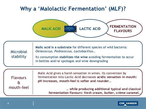 Web malolactic fermentation management with viniflora