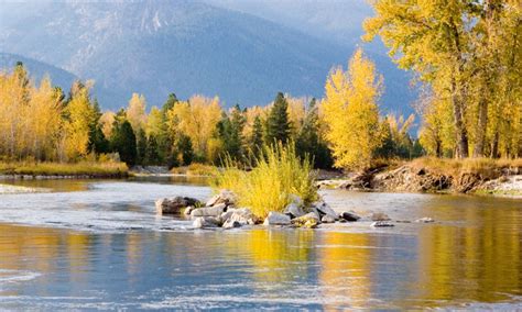 Bitterroot River Montana Fly Fishing, Camping, Boating - AllTrips