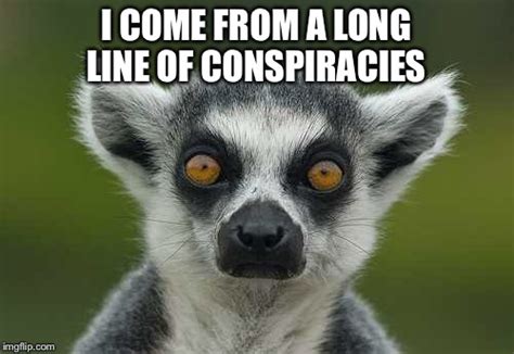 Lemur Memes - Imgflip