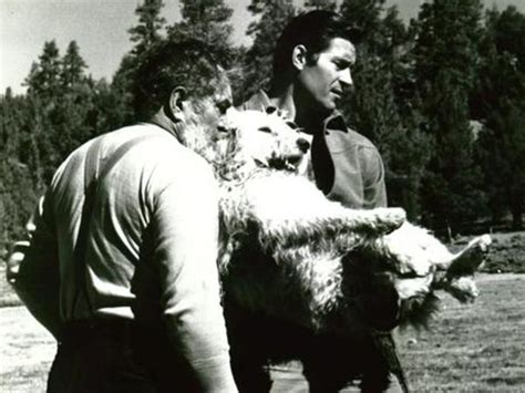 The Night of the Grizzly (1966) - Joseph Pevney | Synopsis, Characteristics, Moods, Themes and ...