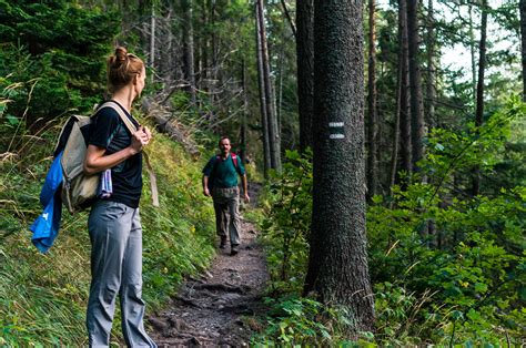 Hiking Guide: What to Know Before Hitting a Trail For The First Time - Trip & Tr - EroFound