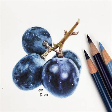 Jennifer Morrison on Instagram: “Newest drawing! Black grapes. This is the first of three real ...