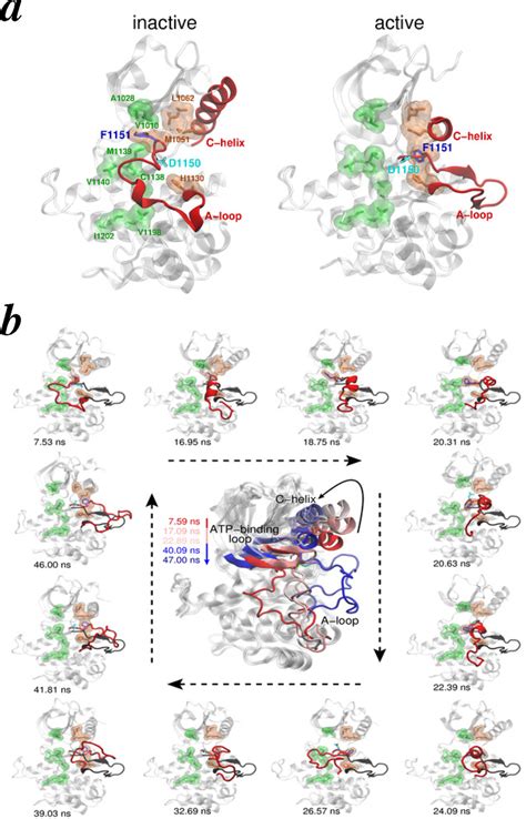 Membranes | Special Issue : Structure and Function of Membrane Receptors