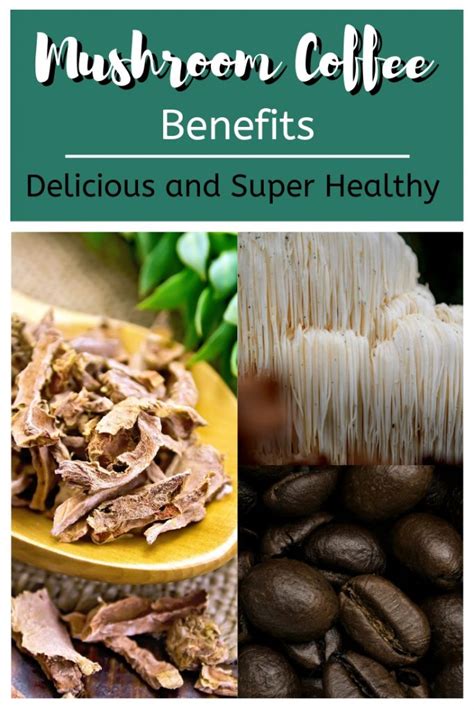 Mushroom Coffee Benefits and Why You Should Try It - Warms My Soul