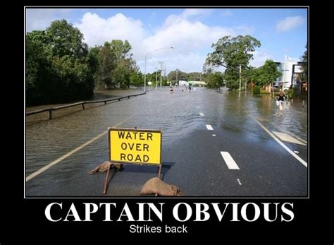 21 Captain Obvious Memes to Make You Laugh - SayingImages.com