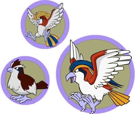 Shiny Redo: Pidgeot Line by SkydraoftheGoddesses on DeviantArt