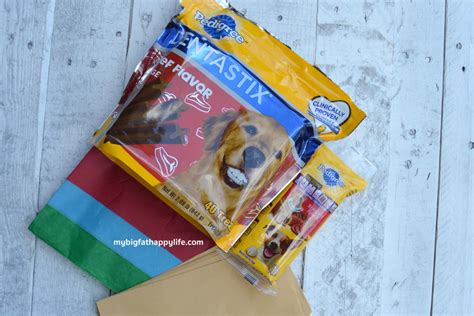 DIY Advent Calendar for Dogs - My Big Fat Happy Life